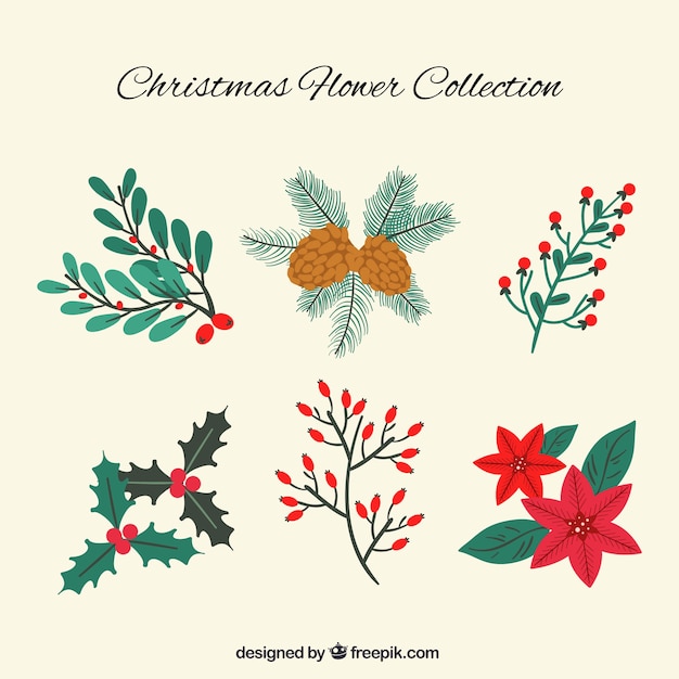 Gratis vector kerst bloemen collectie