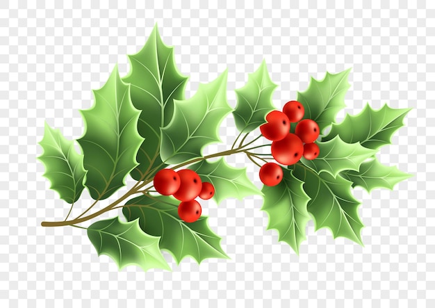 Gratis vector kerst hulst boomtak realistische afbeelding. kleur takje met groene bladeren en rode bessen op transparante achtergrond. xmas decoratieve plant. wenskaart, banner ontwerpelement. geïsoleerde vector