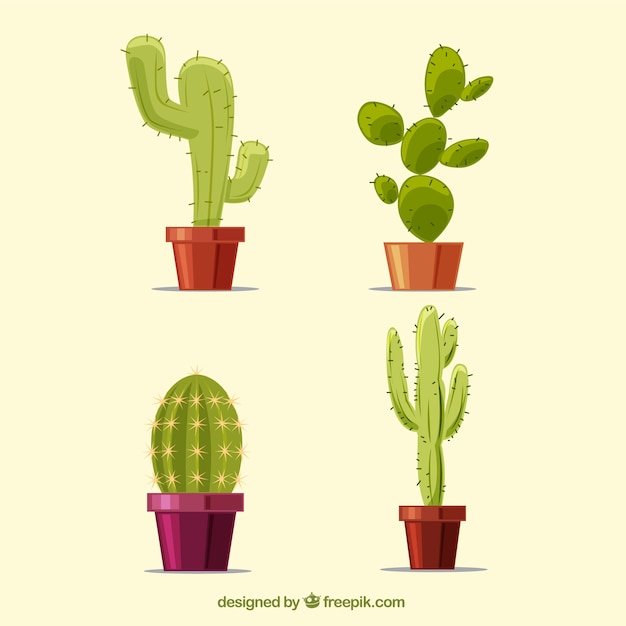 Gratis vector klassieke verscheidenheid aan cactussen