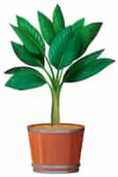 Gratis vector kleine plant in de pot