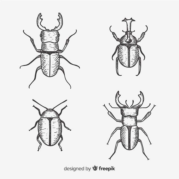 Gratis vector kleurloze hand getrokken bugs collectie