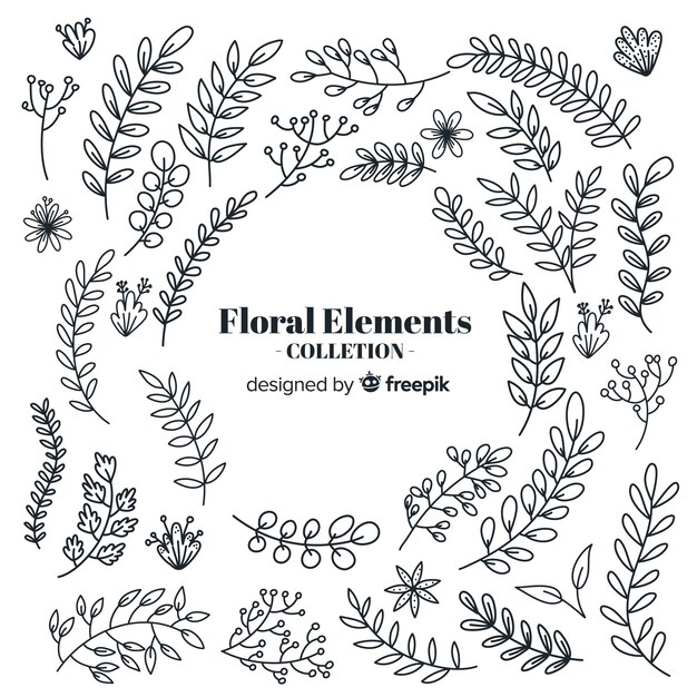 Kleurloze hand getrokken floral decoratieve elementen