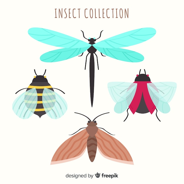 Gratis vector kleurrijk hand getrokken insectenpak