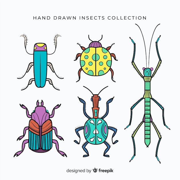 Gratis vector kleurrijk hand getrokken insectenpak
