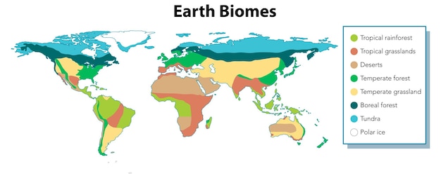Kleurrijke biomen een wereldkaart gedeeld door regio's