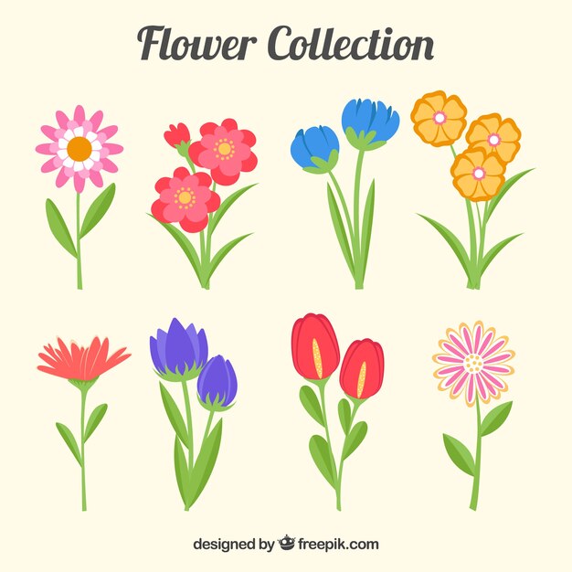 Kleurrijke bloemencollectie in vlakke stijl