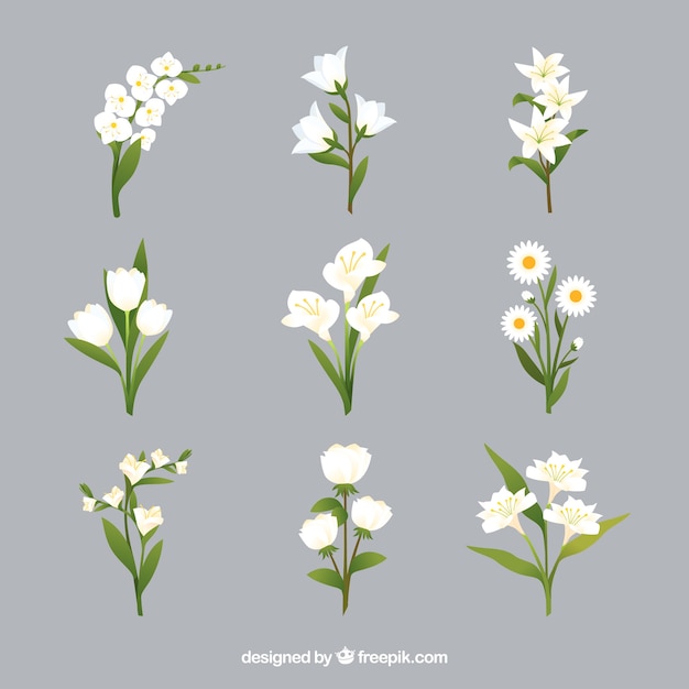 Gratis vector kleurrijke bloemencollectie in vlakke stijl