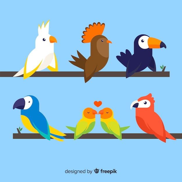 Gratis vector kleurrijke exotische vogel collectie plat ontwerp