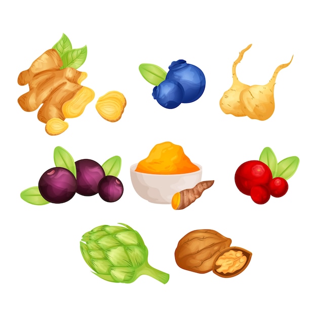 Gratis vector kleurrijke gezonde superfoodcollectie