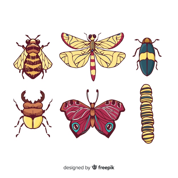 Gratis vector kleurrijke hand getrokken insectencollectie