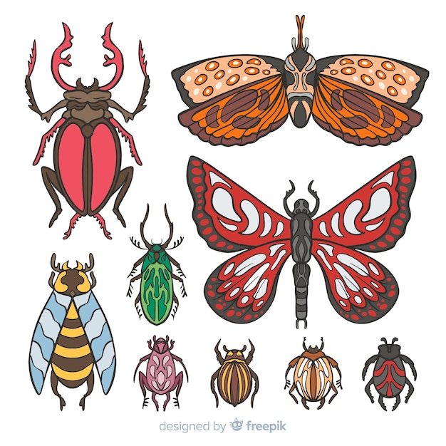 Gratis vector kleurrijke hand getrokken insectencollectie