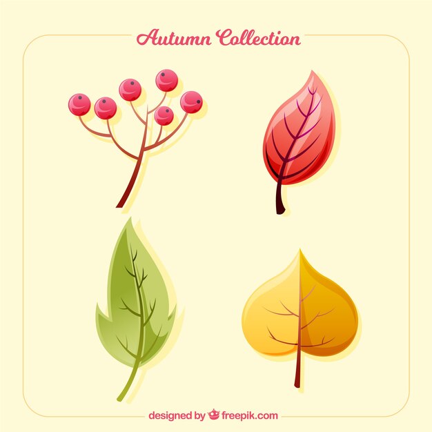 Kleurrijke herfstbladeren collectie