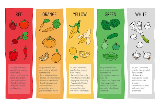 Kleurrijke infographic met gezond vers voedsel