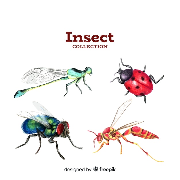 Gratis vector kleurrijke insectencollectie