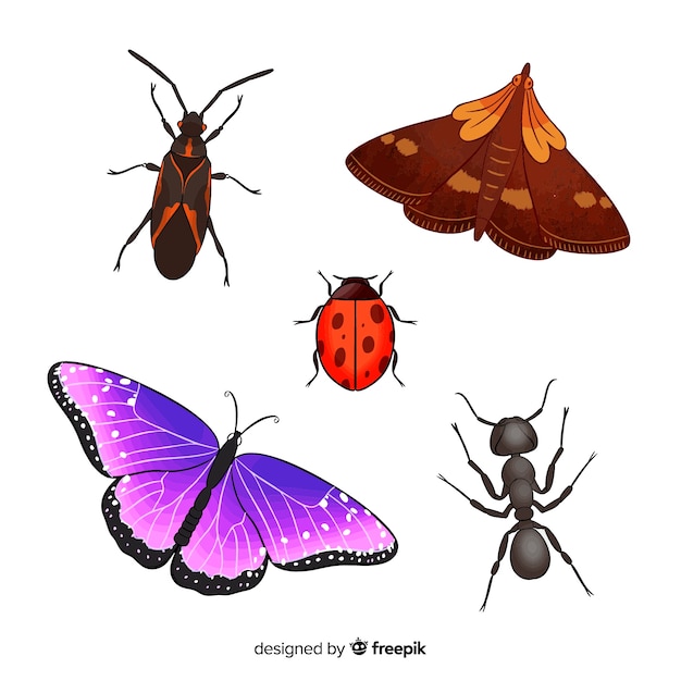 Kleurrijke insectencollectie
