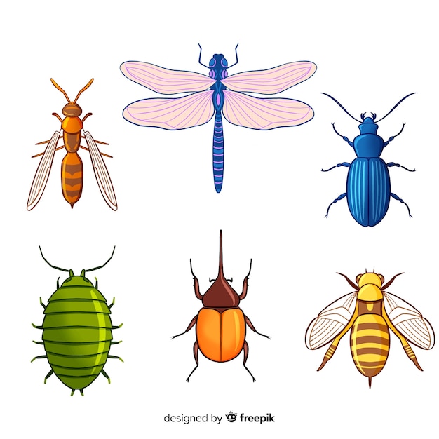 Gratis vector kleurrijke insectencollectie