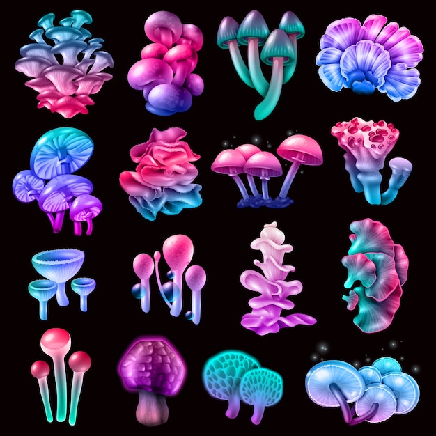 Kleurrijke Magic Mushrooms-collectie