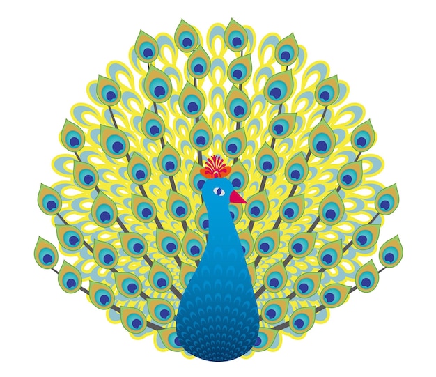 Gratis vector kleurrijke pauw rangoli ontwerp geïsoleerd op een witte achtergrond
