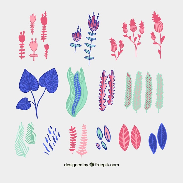 Gratis vector kleurrijke set floral elementen met platte ontwerp