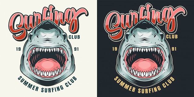 Kleurrijke surfclub print