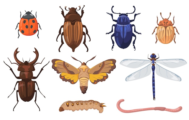 Gratis vector kleurrijke verschillende insecten, wormen en insecten platte set