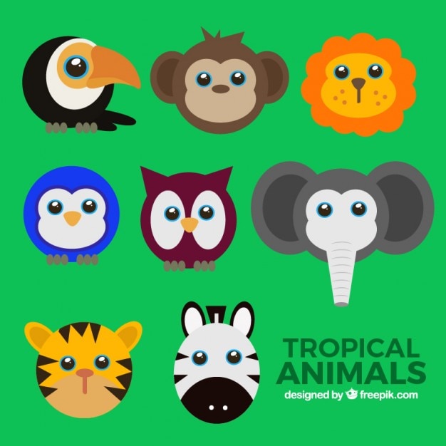 Kleurrijke wilde dieren avatars set