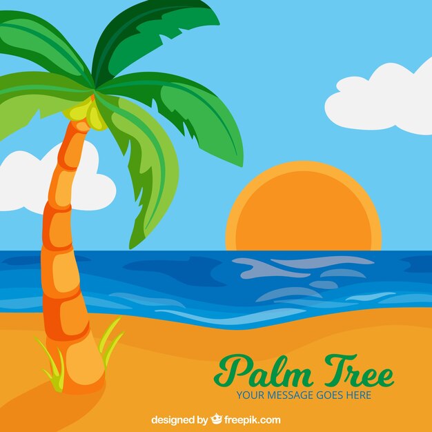 Kleurrijke zonsondergang met palmachtergrond