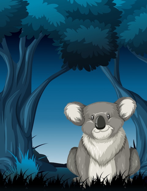 Koala in de nachtscène