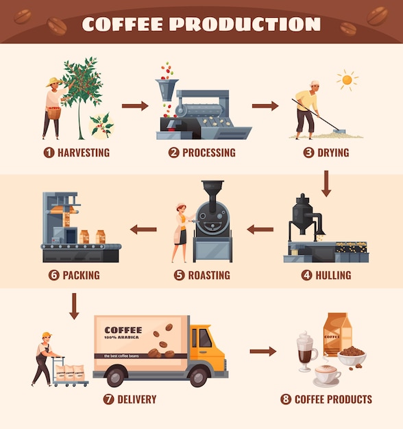Gratis vector koffieproductie poster met verwerking en roosteren symbolen cartoon vectorillustratie