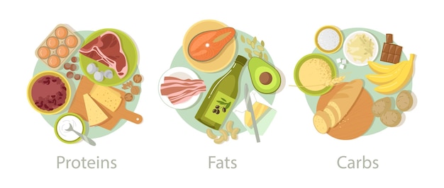 Koolhydraat, eiwit en vet voedsel set. Vectorillustraties van voedingscategorieën. Cartoon carb vezels in granen, granen brood, energie maaltijden van vlees en eieren geïsoleerd op wit. Complex dieetconcept