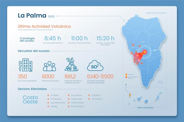 Gratis vector la palma infographic ontwerp