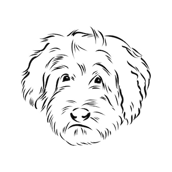 Labradoodle mix hond vector geïsoleerde illustratie op witte achtergrond australische poedel