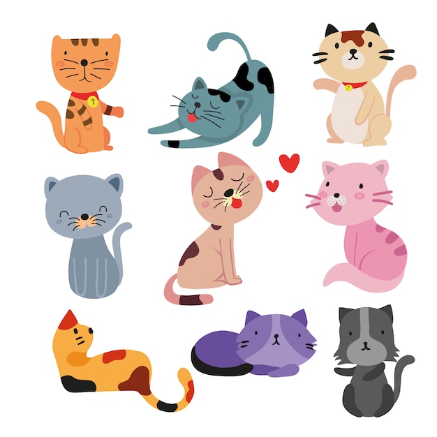 Lachende katten collectie