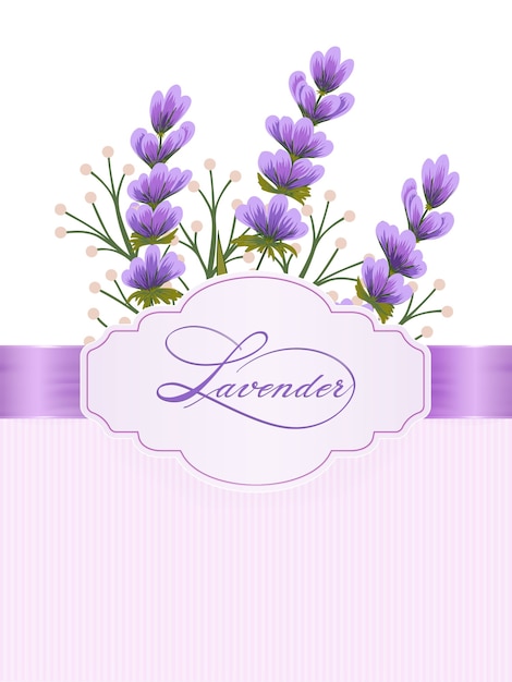 Lavandula bloemen. lavendelbloemen op achtergrond met elegante handgeschreven kalligrafie.