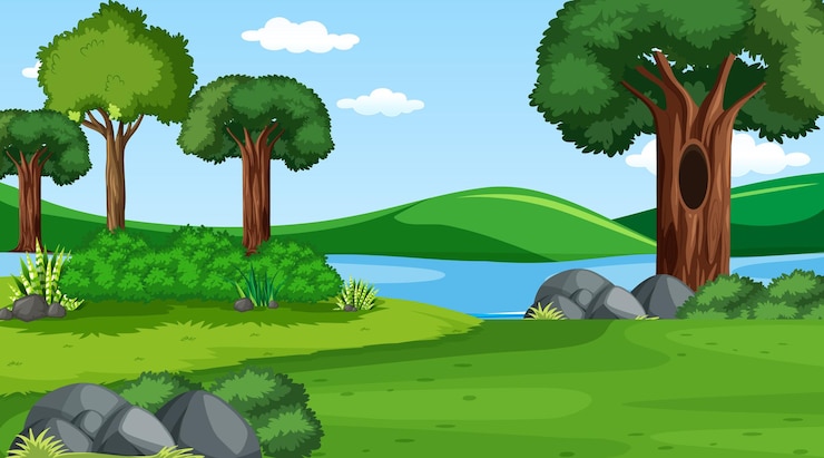 Gratis Vector leeg bos overdag met verschillende bosbomen