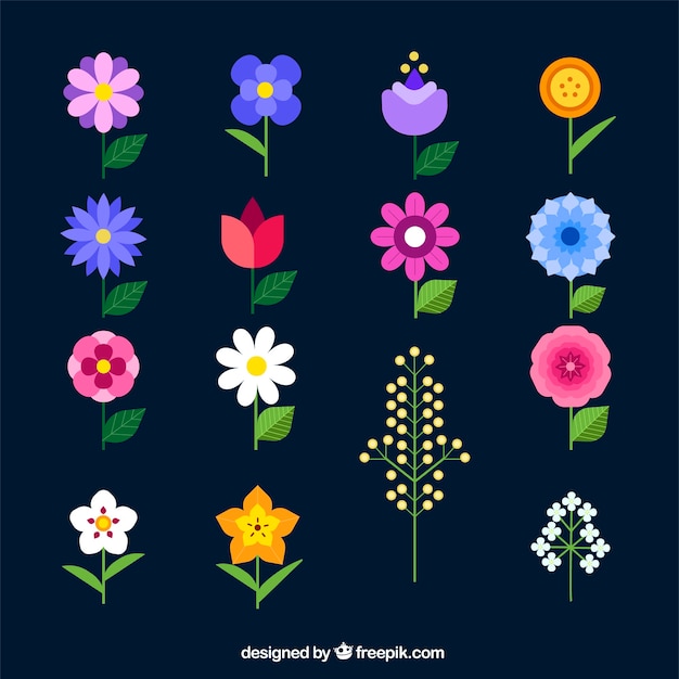 Gratis vector lente bloemen collectie