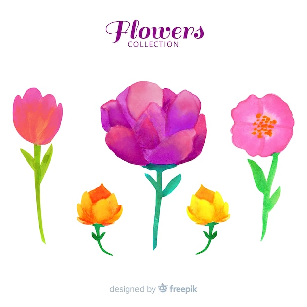 Gratis vector lente bloemen collectie