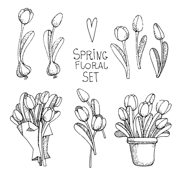 Gratis vector lente bloemen set