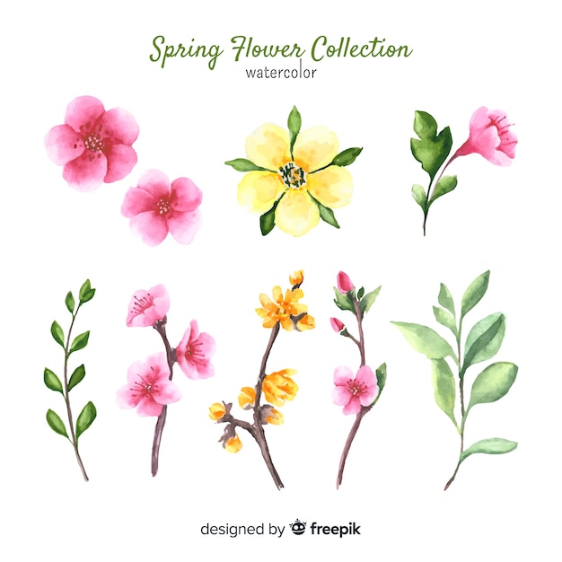 Gratis vector lente bloemencollectie