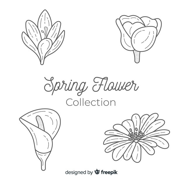 Gratis vector lente bloemencollectie