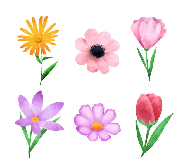 Gratis vector lente bloemencollectie