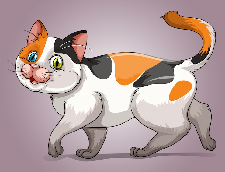 Gratis Vector leuk katje met tri-kleuren