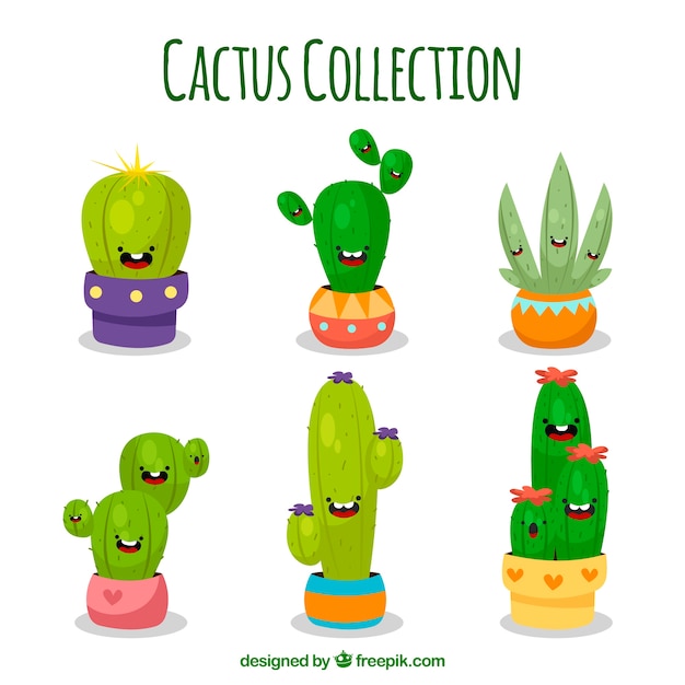 Leuk pakje smiley cactus