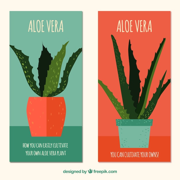 Gratis vector leuke aloë vera pottende banners in plat ontwerp