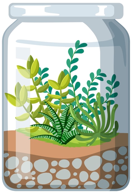Gratis vector leuke glazen terraria met vetplanten op witte achtergrond