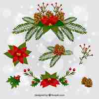 Gratis vector leuke kerst bloemen