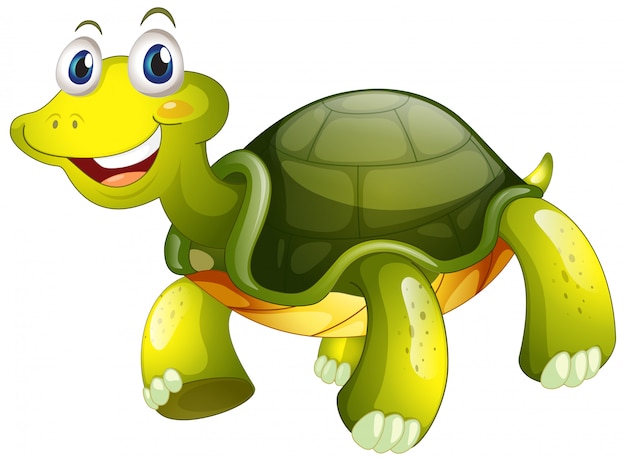 Gratis vector leuke schildpad op wit