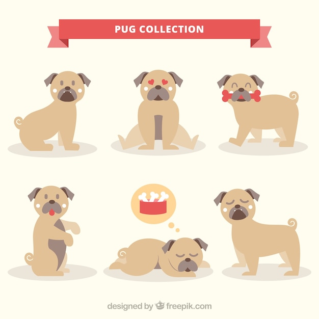 Gratis vector leuke set van leuke pugs