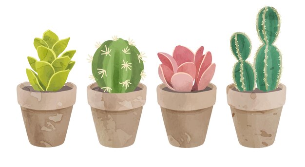 Leuke verzameling van cactus in aquarel