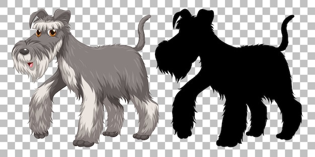 Gratis vector leuke wire fox-terrier en zijn silhouet op transparante achtergrond